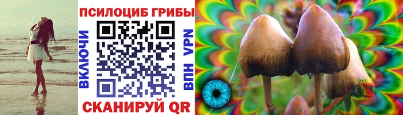 купить наркотик  Скопин  Псилоцибиновые грибы ЛСД 